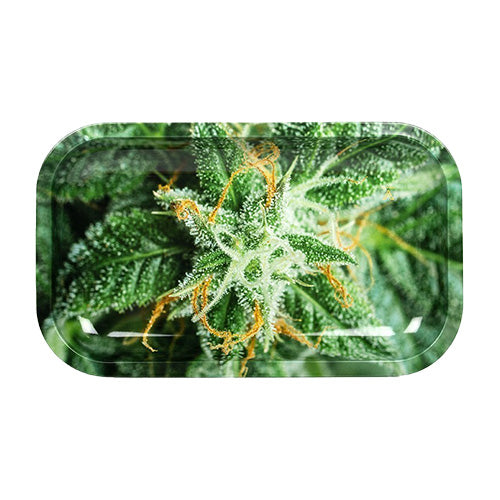 Medium Rolling Trays AK-47 Strain | VapourOxide