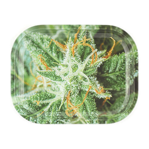 Small Rolling Trays AK-47 Strain | VapourOxide