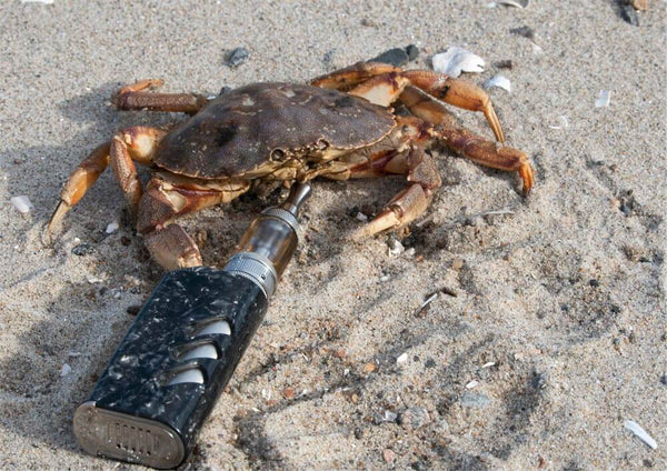 Image of crab with vape